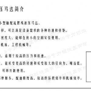 开云（中国）侧油口系列马达