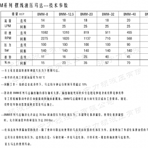 开云（中国）侧油口系列马达