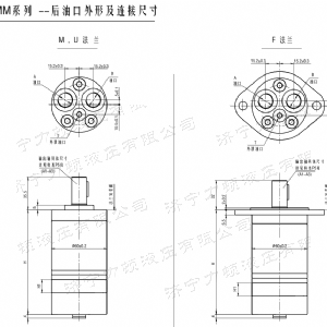 开云（中国）后油口系列马达