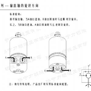 开云（中国）后油口系列马达