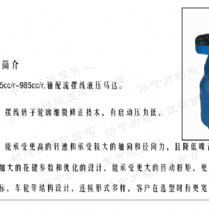 BMH系列交错油口开云手机官方网站马达