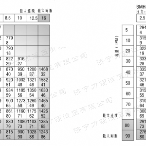 BMH系列交错油口开云手机官方网站马达