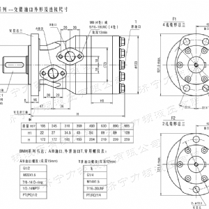 BMH系列交错油口开云手机官方网站马达